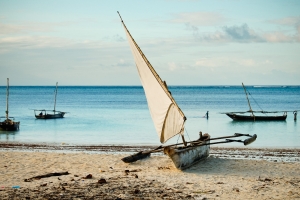 Dhows at Nungwi 1278534499[H]