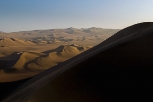 Dune 241300239[H]