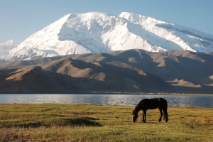Horse on Karakul Lake 2720735297[H]