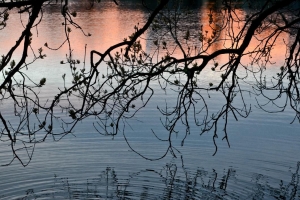 Denmark - Duck Pond Sunset 18834346443[H]