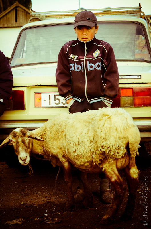A boy shivers behind his family's Lada, left to sell the only animal they've brought. Note his authentic 'Abibas' shirt.