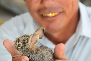 After climbing a derelict cemetery TV-tower this man appeared holding a bunny