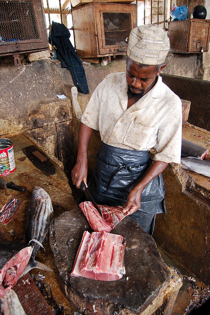 Fish in Zanzibar