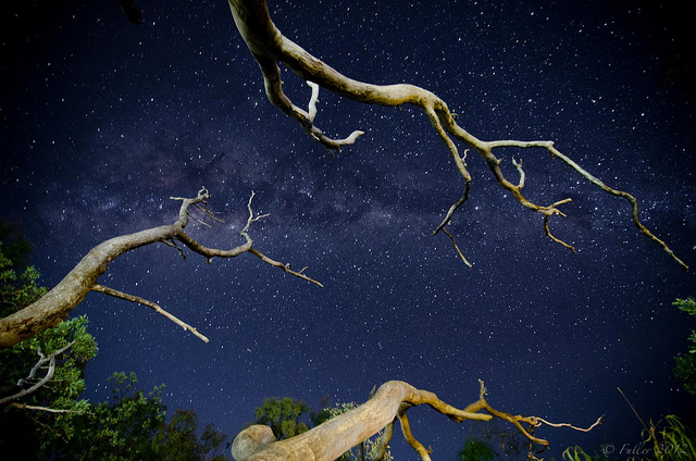 night sky in Qld