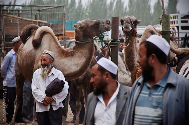 Uighur men in Xinjiang, China