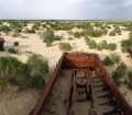 Aral Sea fishing boats, dragged here to die together.