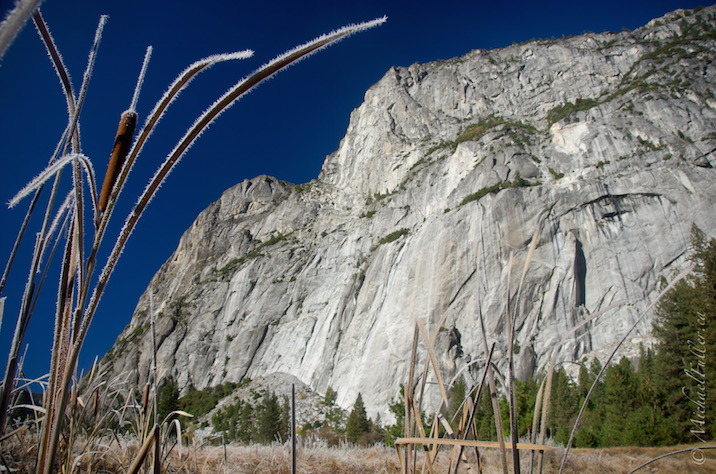 Frosted Yosemite