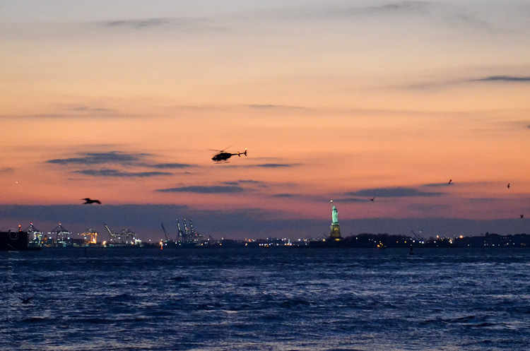 Manhattan Night Birds (and helicopters)