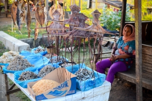 Dried fish market