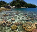 Togean coral panorama