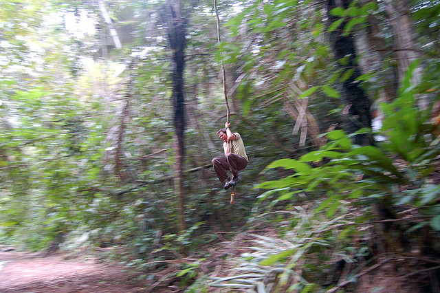 Myke swinging Tarzan in the Amazon