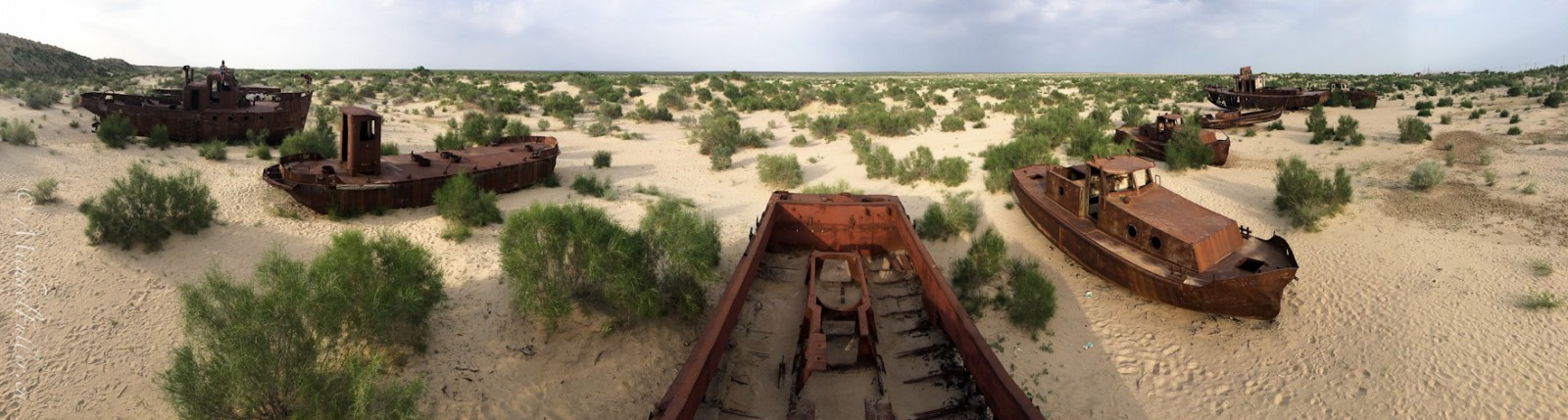 The rusted memories of the Aral Sea: Fishing boats, dragged here to die together.